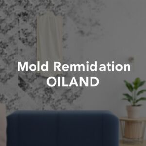 Local Mold Expertise in Richardson's Unique Climate — Richardson, TX